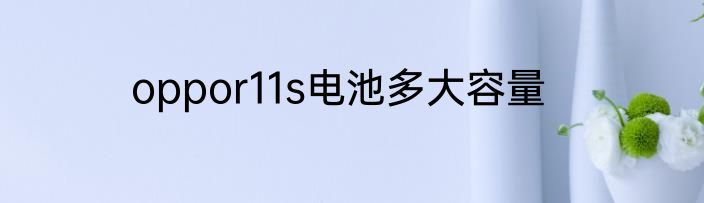 oppor11s电池多大容量
