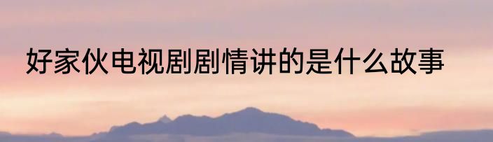 好家伙电视剧剧情讲的是什么故事