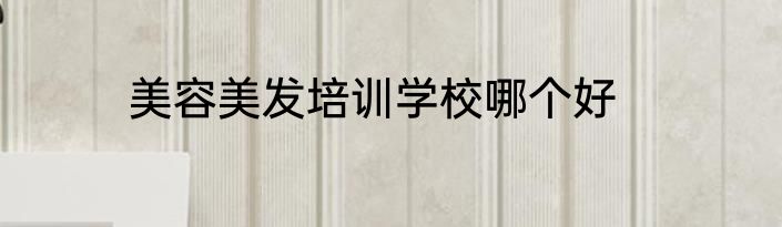 美容美发培训学校哪个好