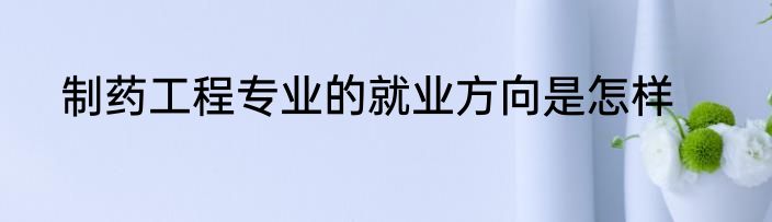 制药工程专业的就业方向是怎样