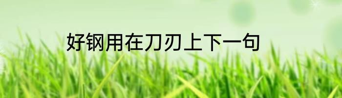 好钢用在刀刃上下一句