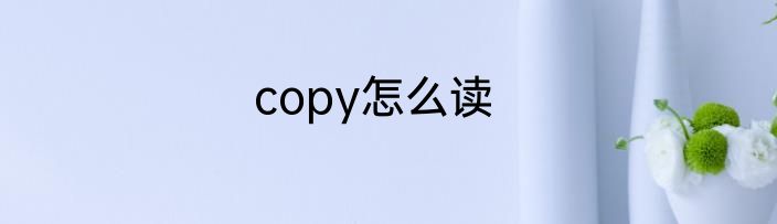 copy怎么读