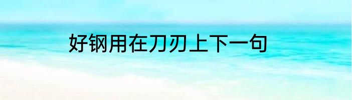 好钢用在刀刃上下一句
