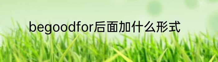 begoodfor后面加什么形式