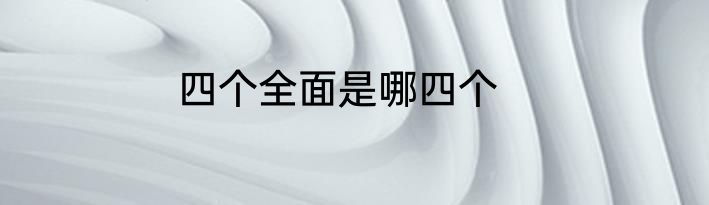四个全面是哪四个