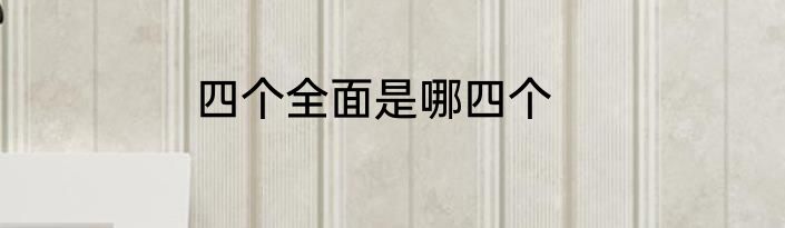 四个全面是哪四个