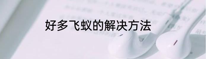 好多飞蚁的解决方法