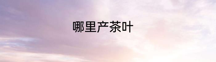 哪里产茶叶
