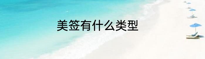 美签有什么类型