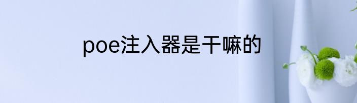 poe注入器是干嘛的