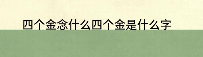 四个金念什么四个金是什么字