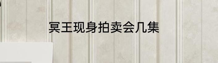 冥王现身拍卖会几集