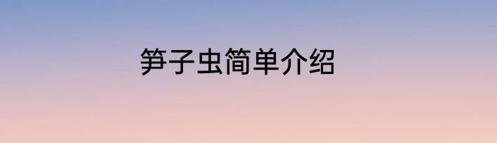 笋子虫简单介绍