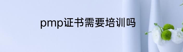 pmp证书需要培训吗