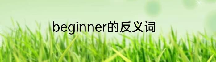 beginner的反义词