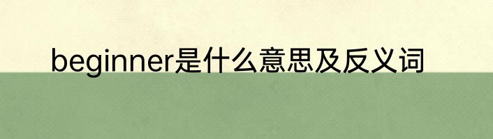 beginner是什么意思及反义词