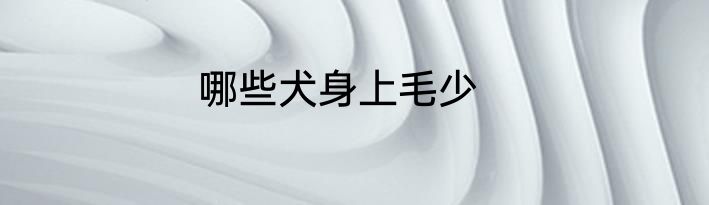 哪些犬身上毛少