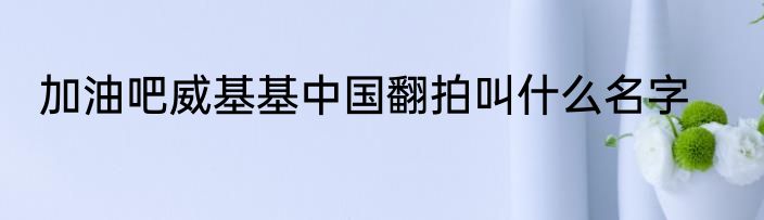 加油吧威基基中国翻拍叫什么名字