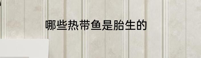 哪些热带鱼是胎生的
