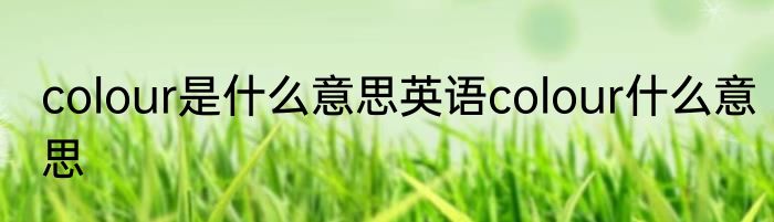 colour是什么意思英语colour什么意思