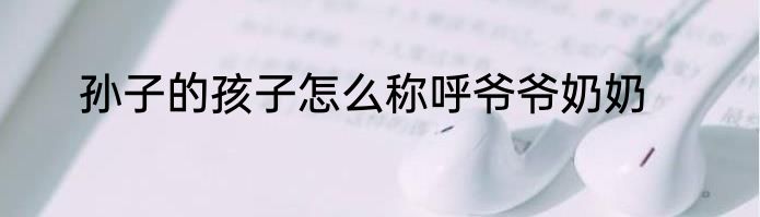 孙子的孩子怎么称呼爷爷奶奶