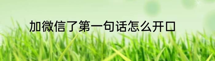 加微信了第一句话怎么开口