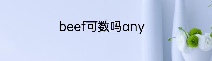 beef可数吗any