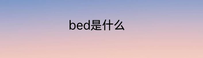 bed是什么
