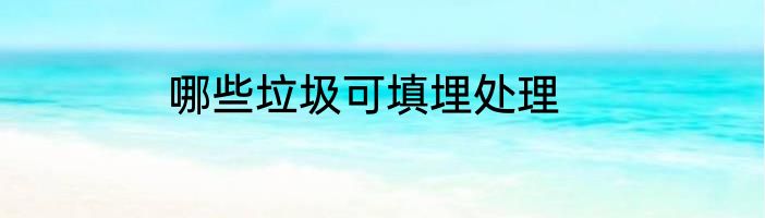 哪些垃圾可填埋处理