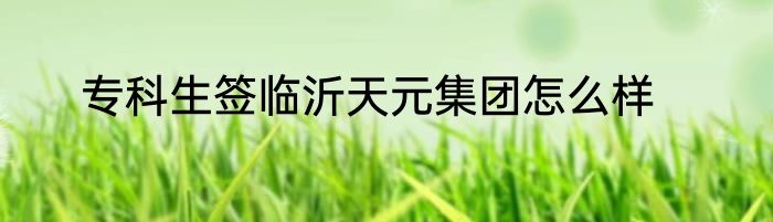 专科生签临沂天元集团怎么样