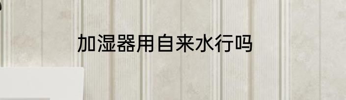 加湿器用自来水行吗