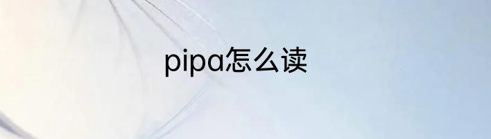 pipa怎么读