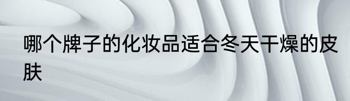 哪个牌子的化妆品适合冬天干燥的皮肤