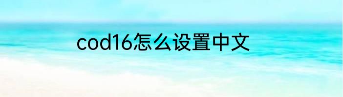 cod16怎么设置中文