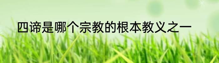 四谛是哪个宗教的根本教义之一