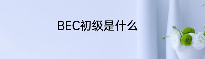 BEC初级是什么