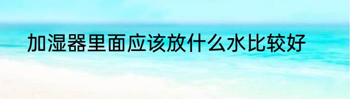 加湿器里面应该放什么水比较好