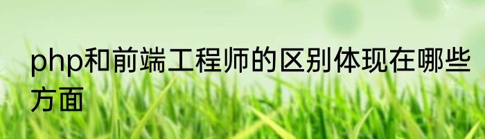 php和前端工程师的区别体现在哪些方面