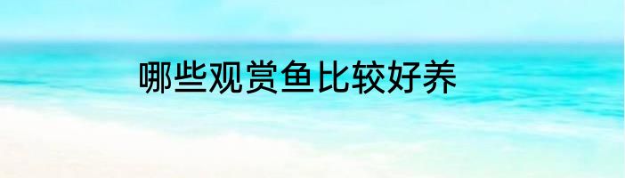 哪些观赏鱼比较好养