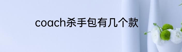coach杀手包有几个款
