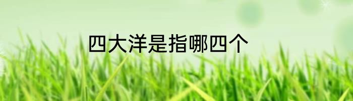 四大洋是指哪四个