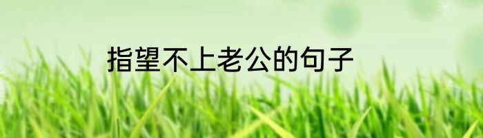 指望不上老公的句子