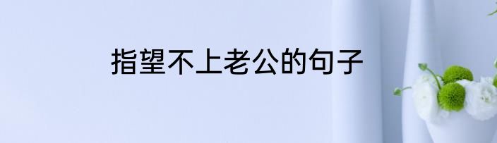指望不上老公的句子