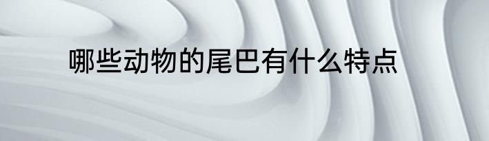 哪些动物的尾巴有什么特点