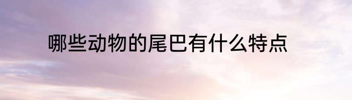 哪些动物的尾巴有什么特点