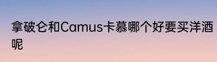 拿破仑和Camus卡慕哪个好要买洋酒呢
