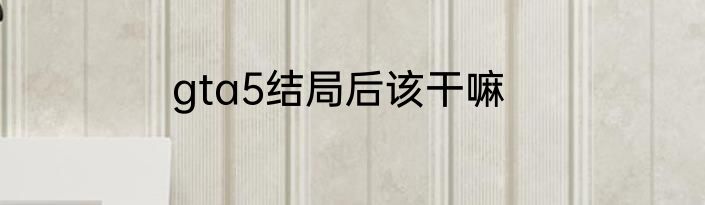 gta5结局后该干嘛