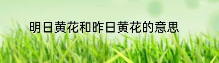 明日黄花和昨日黄花的意思