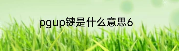 pgup键是什么意思6