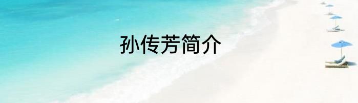 孙传芳简介